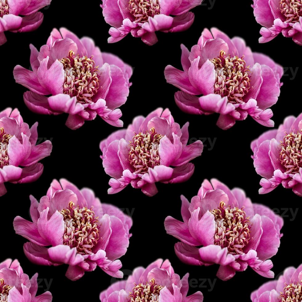 fundo floral. padrão perfeito com peônia foto