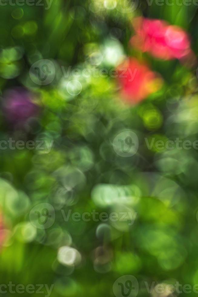 imagem borrada abstrata de um jardim de primavera foto