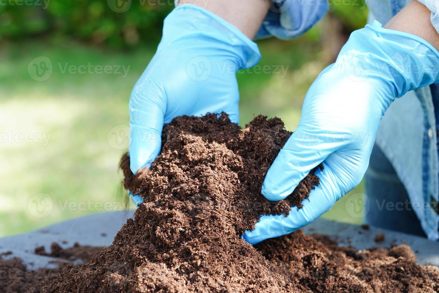 musgo de turfa, solo fertilizante para agricultura orgânica, cultivo de plantas, conceito de ecologia. foto