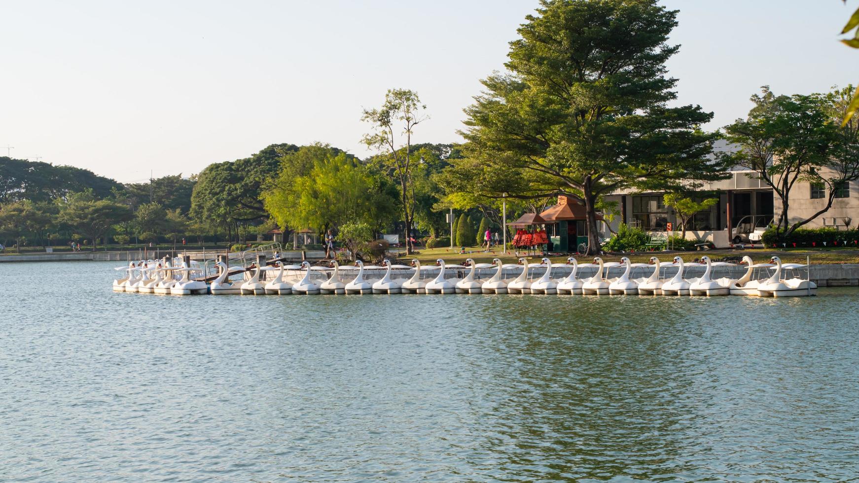 pato de barco giratório alinhando-se com pessoas girando pato de barco giratório no lago de armazenamento de água ou reservatório no parque público suan luang rama ix. foto