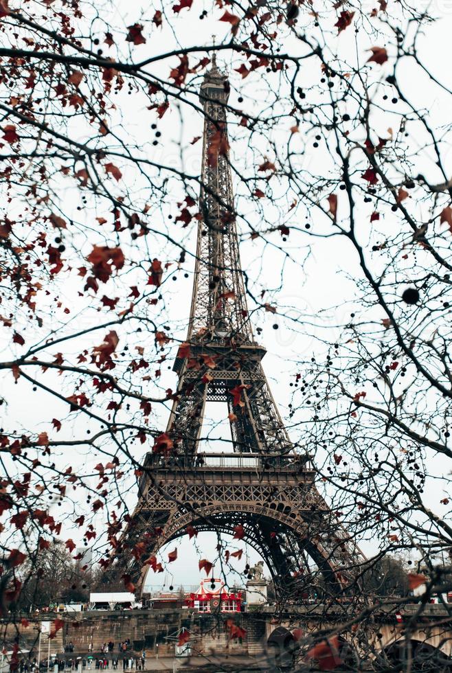 paris, torre eiffel através de galhos de árvores em tempo nublado. foto