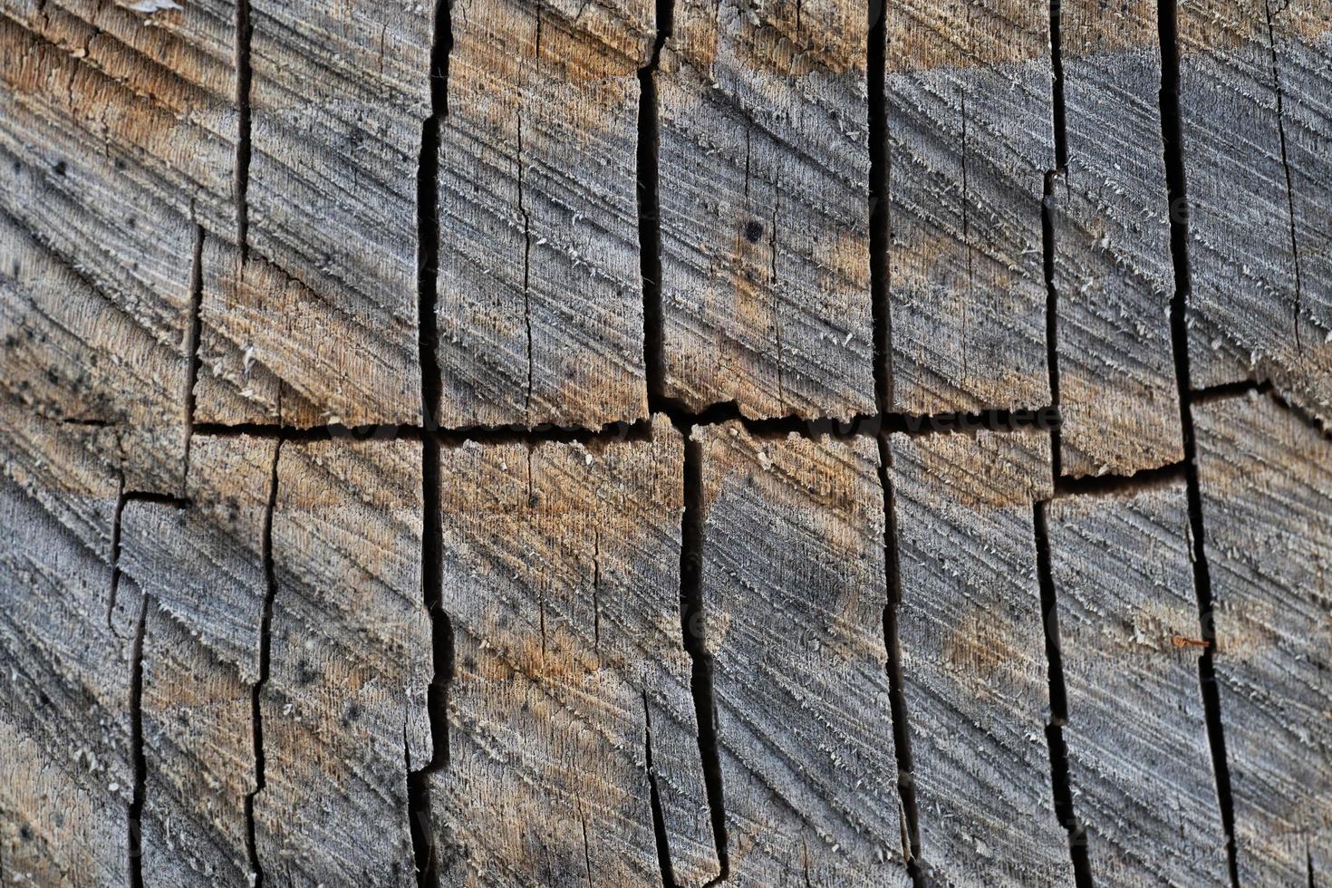 close-up de textura de madeira com fibras naturais, material de placa para construção foto