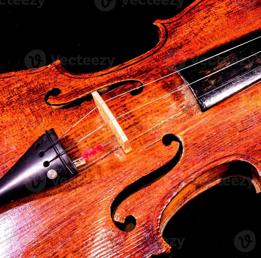 close-up de violino de madeira foto