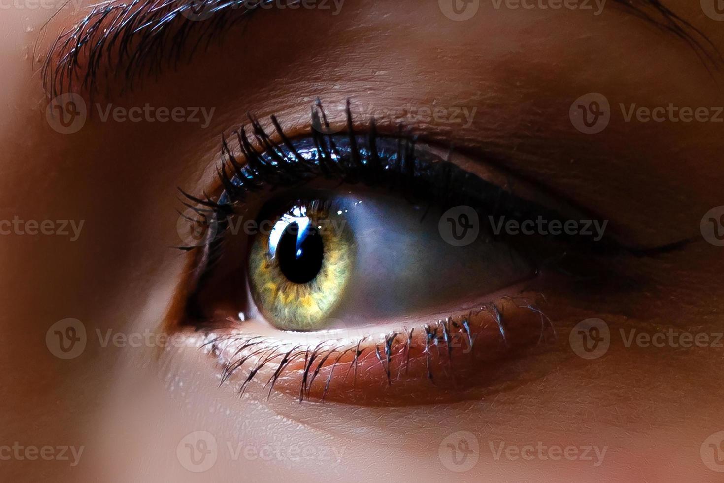 visão aproximada do lindo olho feminino sobrancelha perfeita na moda lentes de contato de boa visão foto