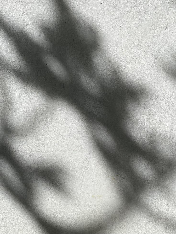 folhas de sombra no fundo da parede de concreto foto