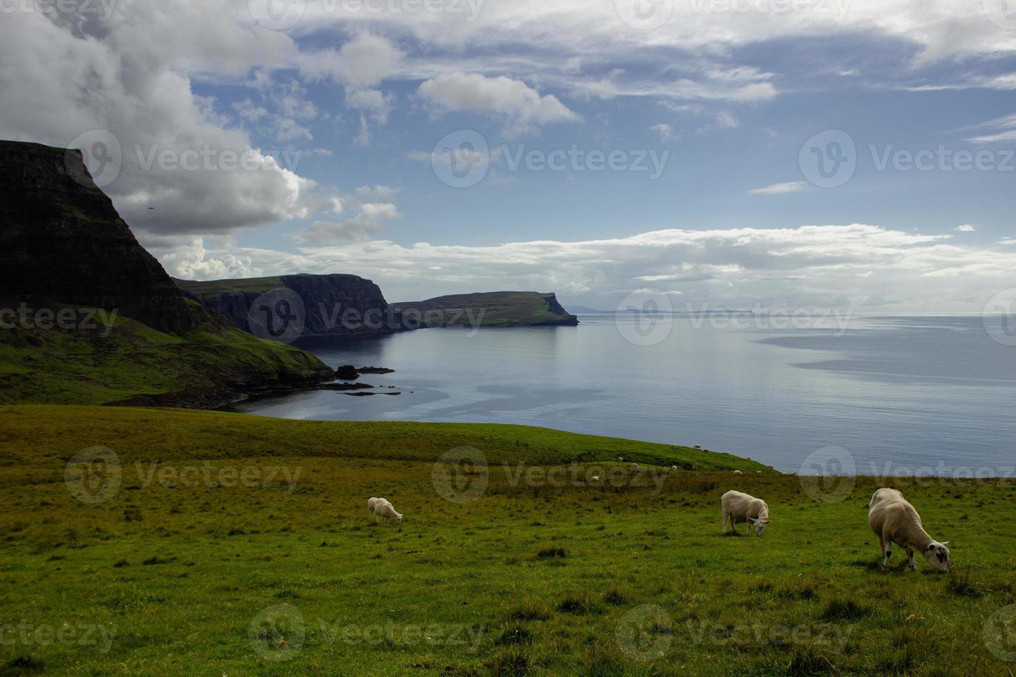 costa do oceano no farol de neist point com ovelhas, escócia foto