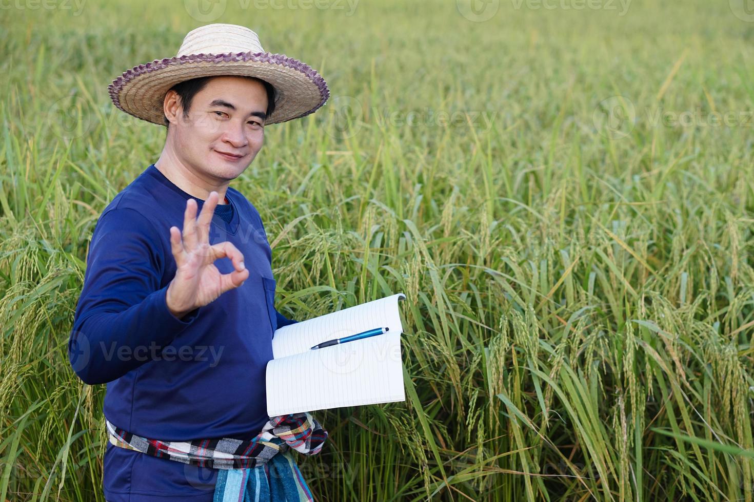 agricultor asiático está no campo de arroz, usa chapéu, camisa azul, segura papel de caderno, inspeciona o crescimento e a doença das plantas. conceito, pesquisa agrícola e estudo para desenvolver culturas. foto