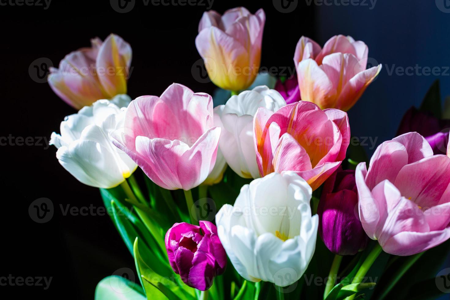 banner de flores da primavera, monte de flores de tulipa amarelas e roxas foto