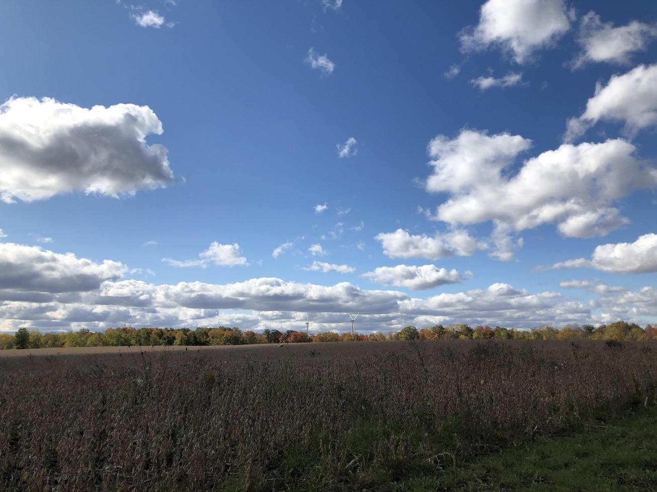 campo de fazenda céu azul foto