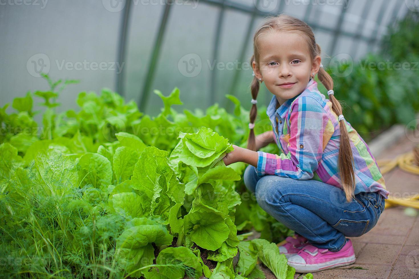 menina simpática recolhe a colheita na estufa foto