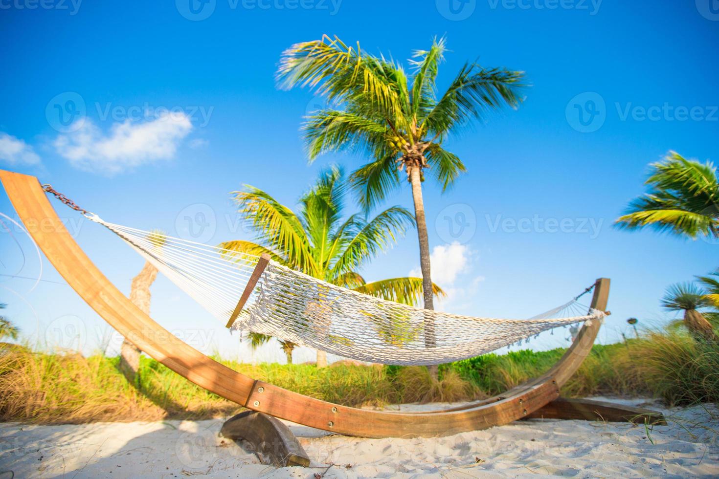 rede romântica na sombra da palmeira na praia tropical foto