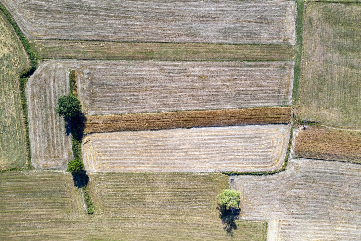 panorama de drone aéreo de campos cultivados de trigo maduro foto