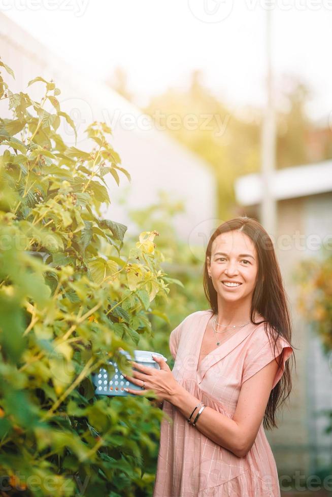 jovem mulher segurando uma cesta de vegetação e cebola na estufa foto