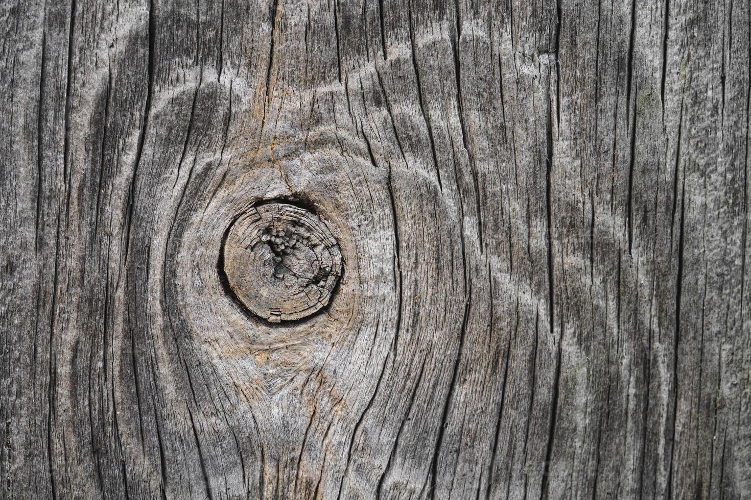 close-up de textura de madeira com fibras naturais, material de placa para construção foto