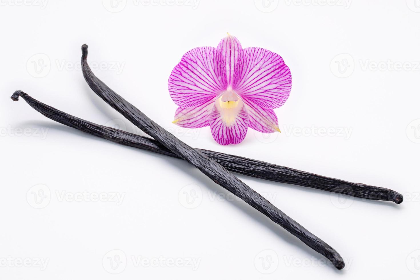 varas de baunilha secas e flor de orquídea isoladas no fundo branco. foto
