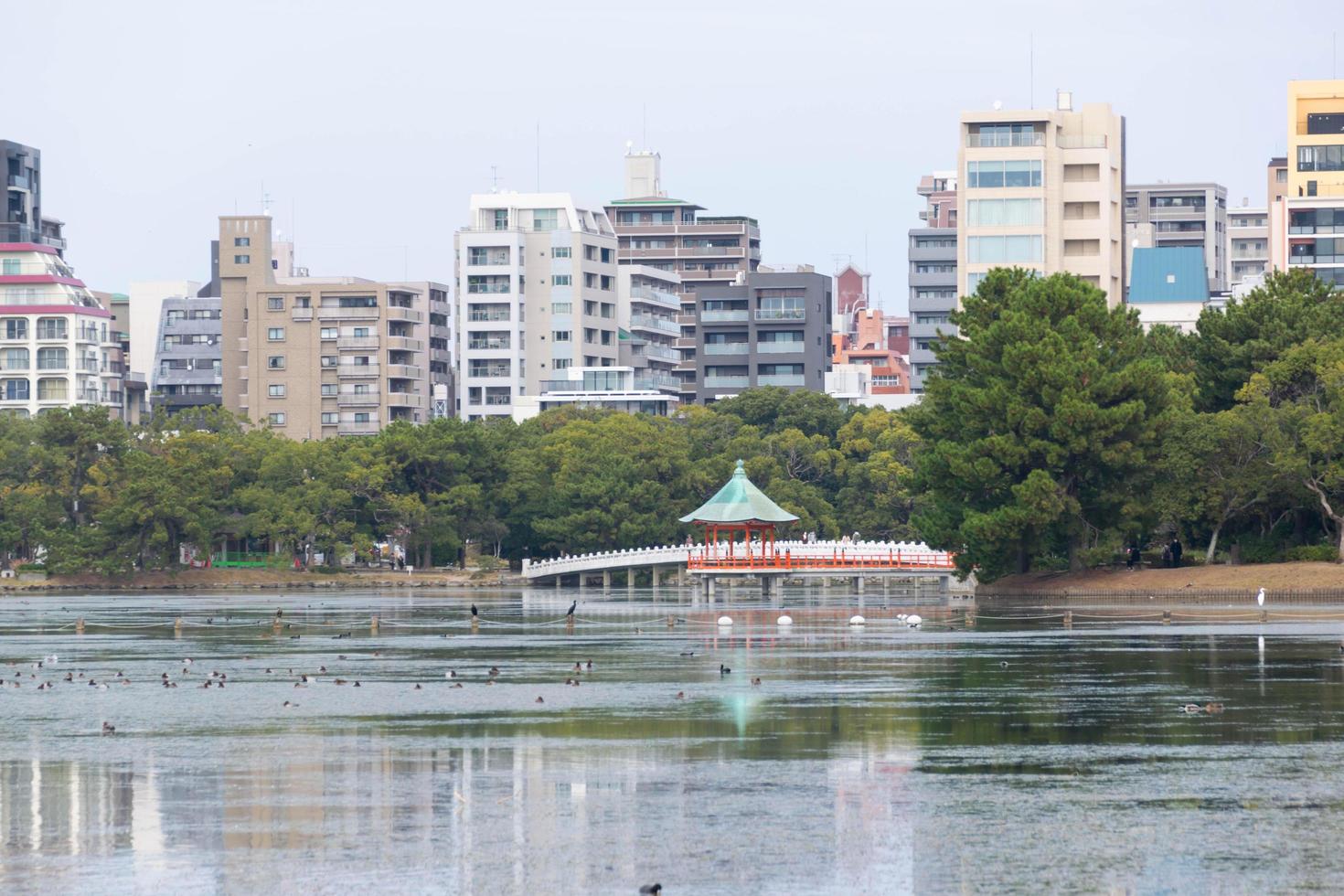 vista do horizonte da cidade da cidade sobre a vista natural do lago da lagoa durante o dia no japão, cidade grande com lago natural público foto