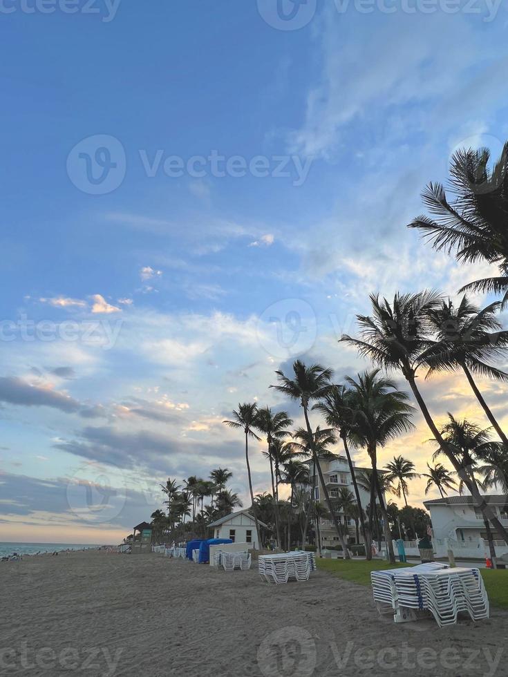 lindo coqueiro com incrível céu vívido ao pôr do sol foto