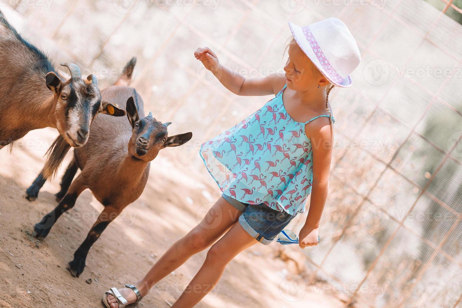 menina no zoológico com uma pequena cabra bonita foto