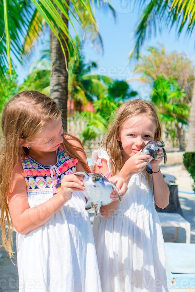 adoráveis meninas com pequenas tartarugas nas mãos na reserva natural foto