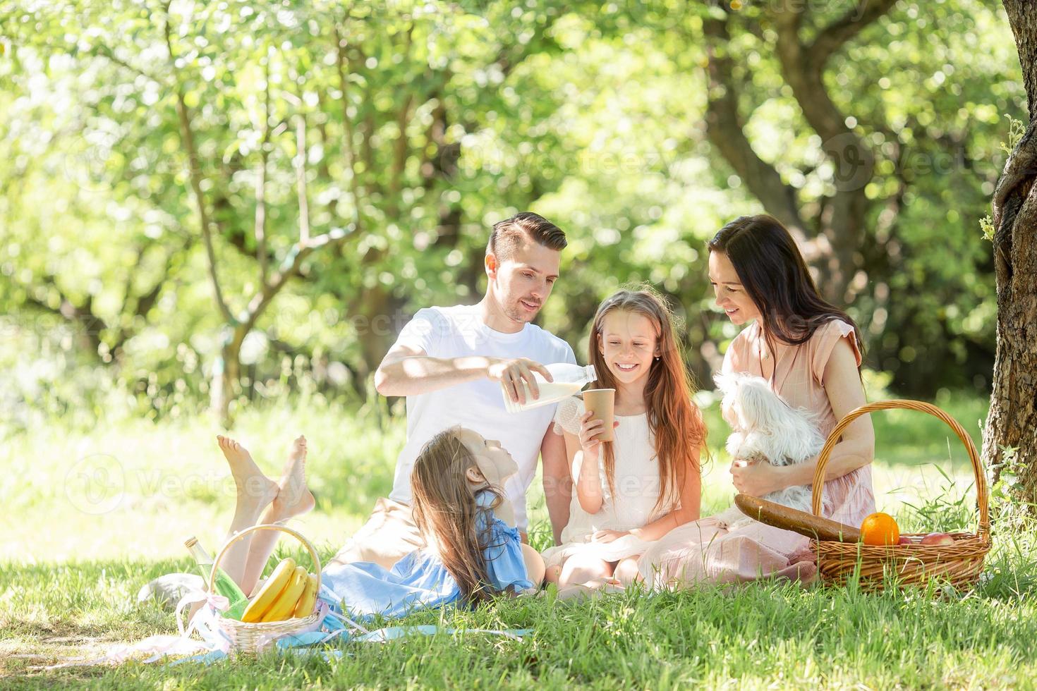 família feliz em um piquenique no parque em um dia ensolarado foto