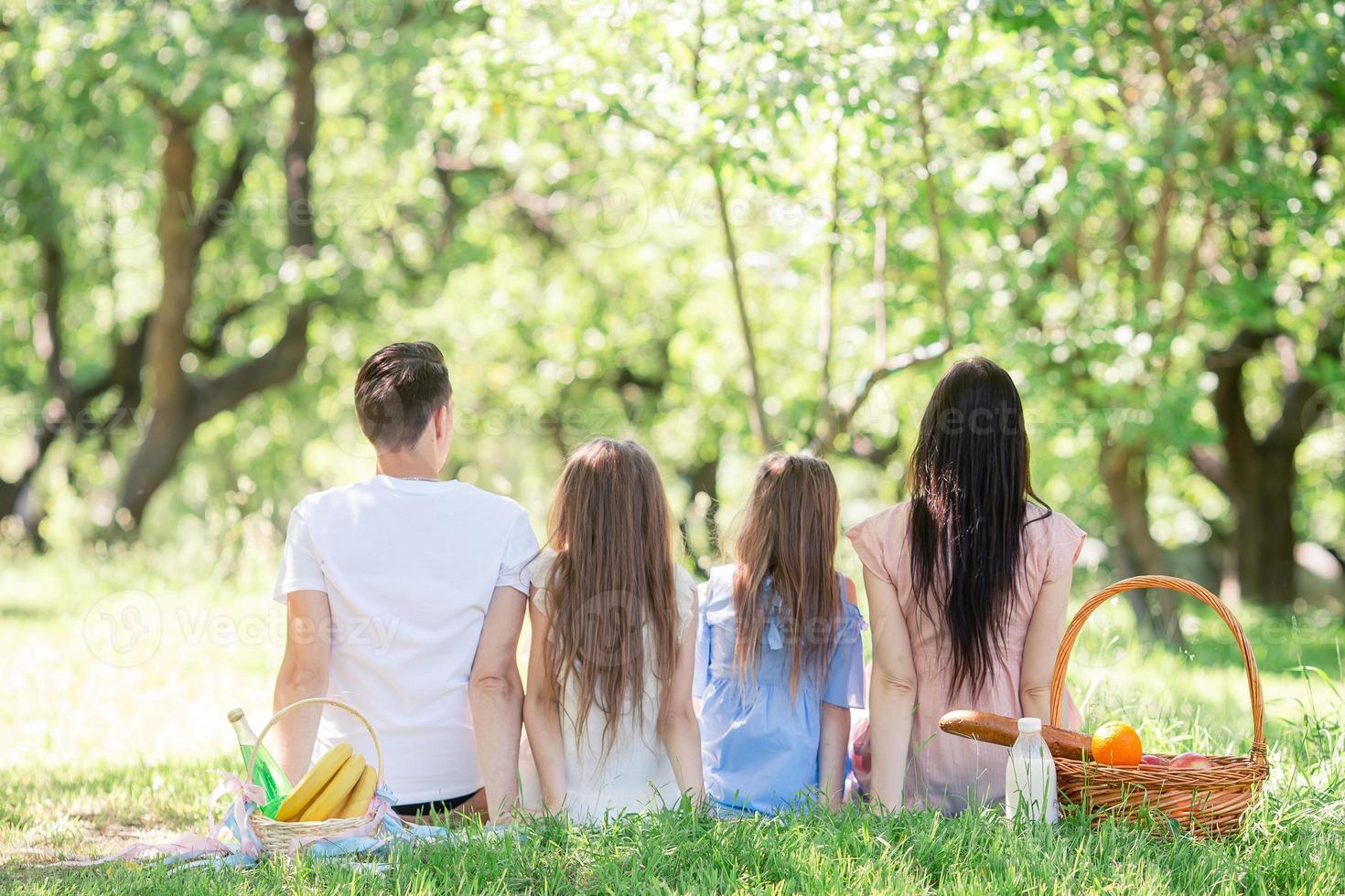 família feliz em um piquenique no parque em um dia ensolarado foto