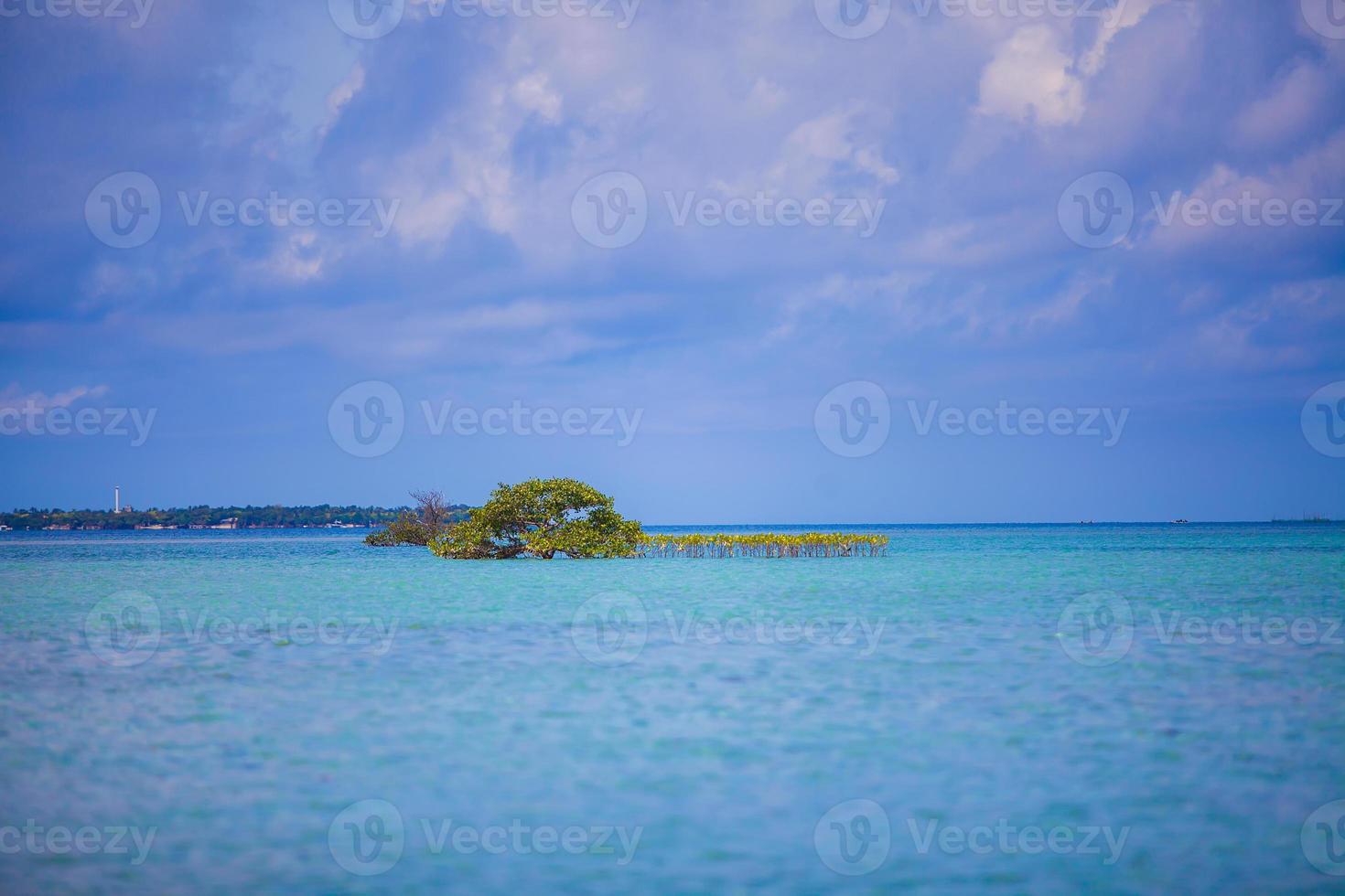 água incrivelmente limpa no mar perto da ilha tropical foto