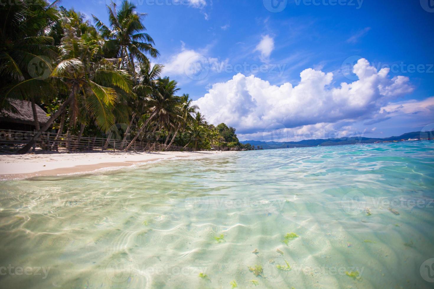 praia perfeita com palmeiras verdes, areia branca e água azul-turquesa foto