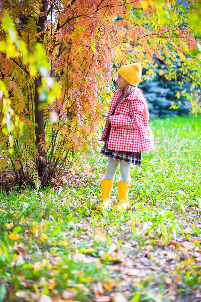 menina adorável no lindo dia de outono ao ar livre foto