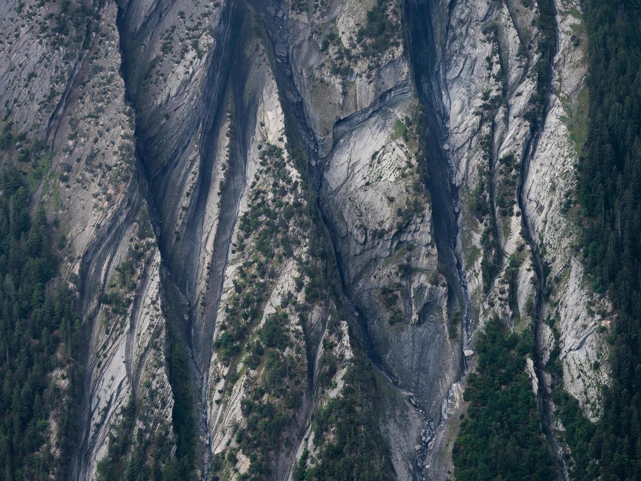 fotografia aérea de floresta foto