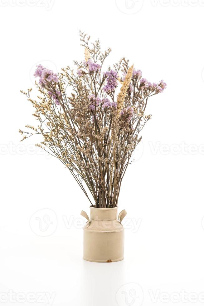 flores statice e caspia em um vaso no fundo branco foto