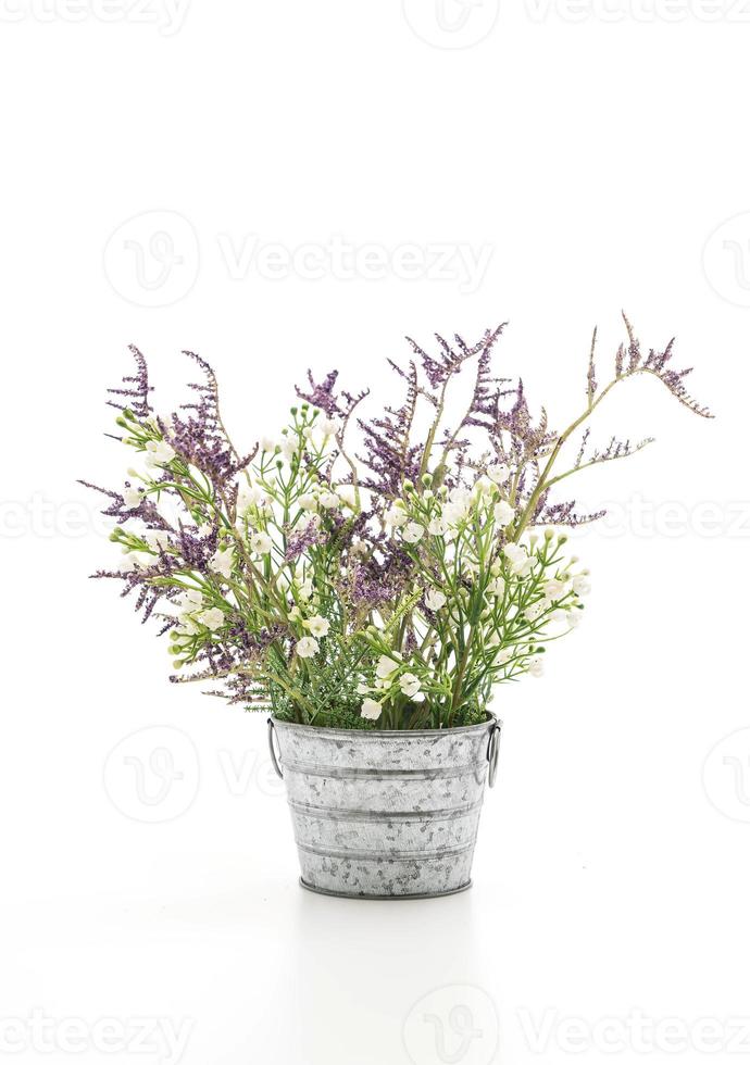 flores statice e caspia em um vaso no fundo branco foto