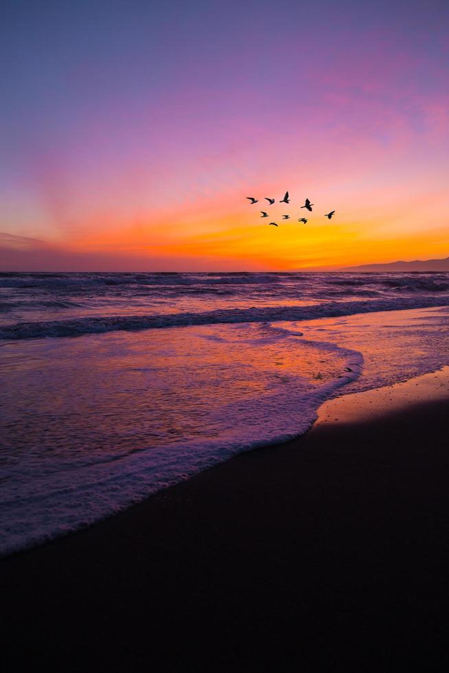 pássaros voando sobre a praia ao pôr do sol foto