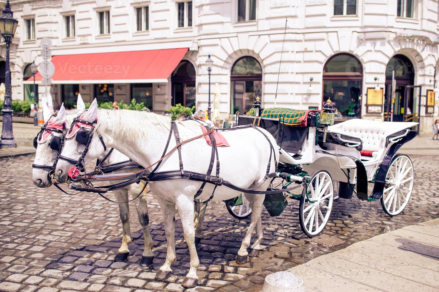 fiaker de treinador de cavalos tradicional em viena áustria foto