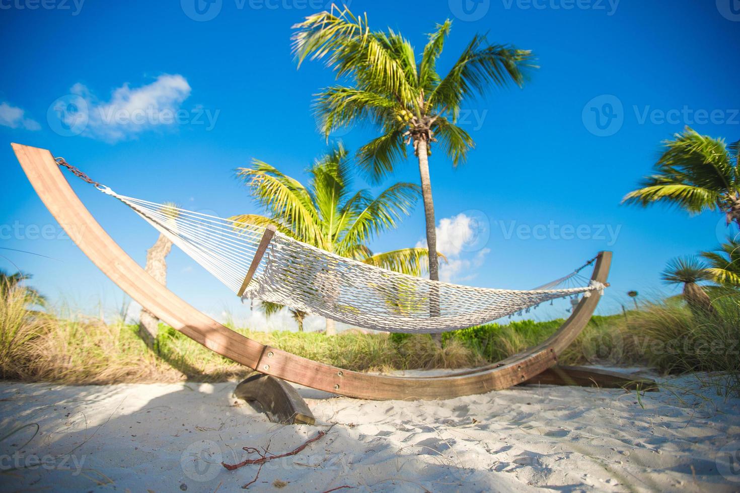 linda rede na sombra da palmeira na praia tropical foto