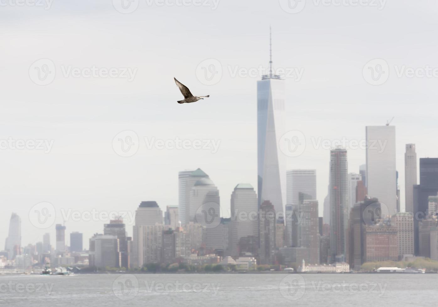 gaivota voando contra o fundo de manhattan foto