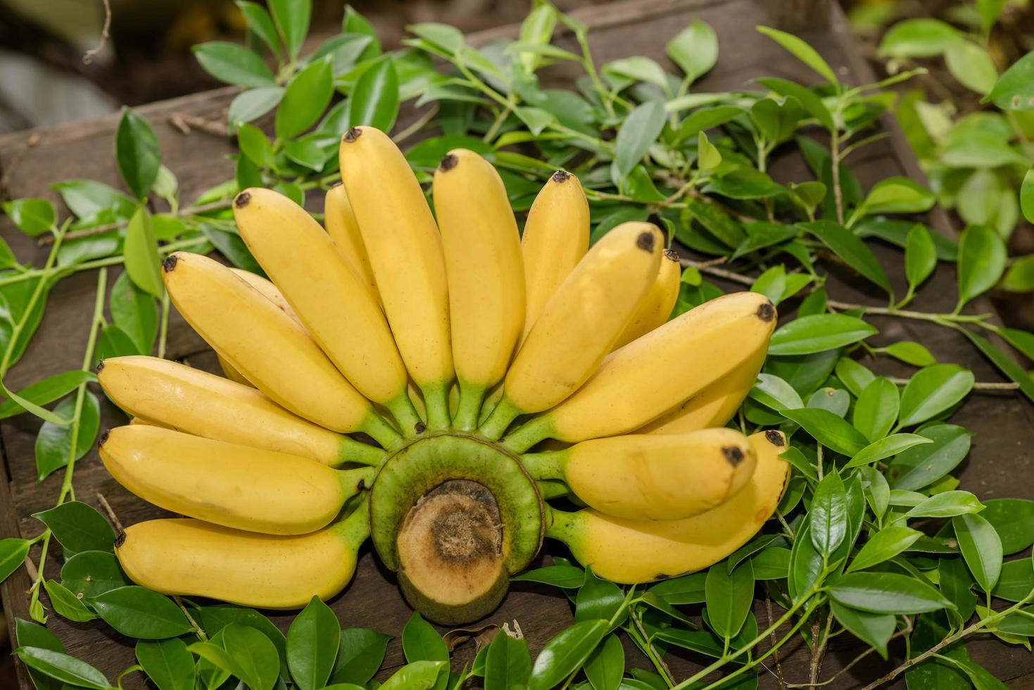 bananas frescas em uma mesa foto