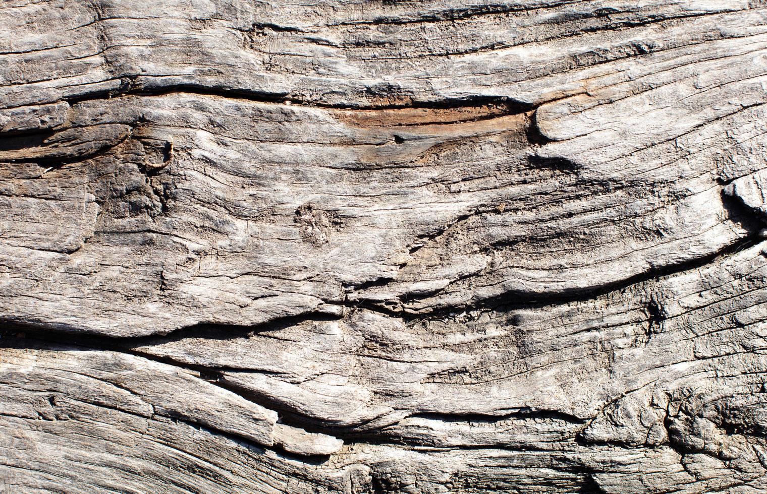 textura de grão de madeira foto