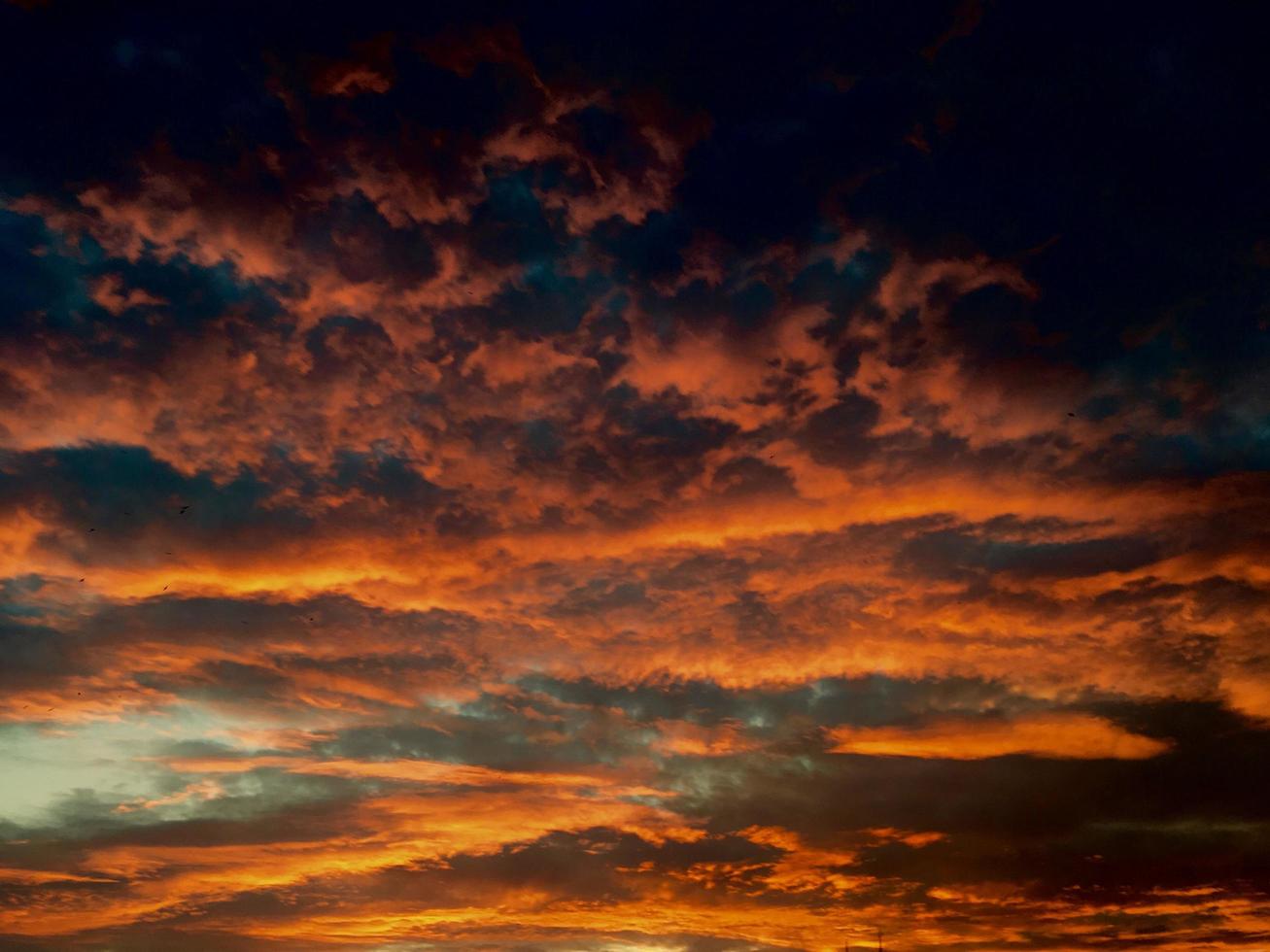 nuvens laranja durante a hora dourada foto