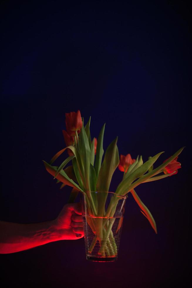 tulipas vermelhas em um vaso de vidro transparente foto