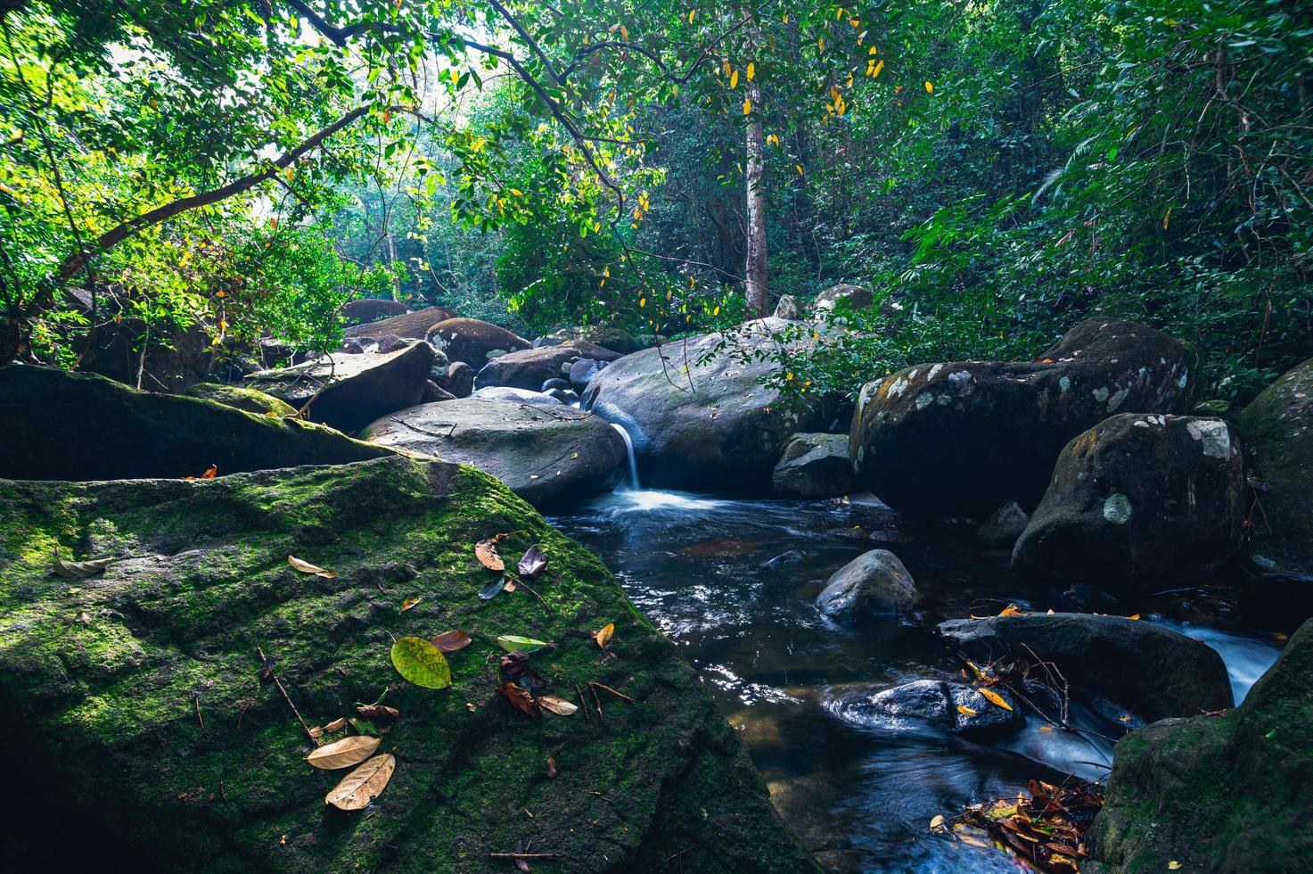 floresta no parque nacional da cachoeira khao chamao foto
