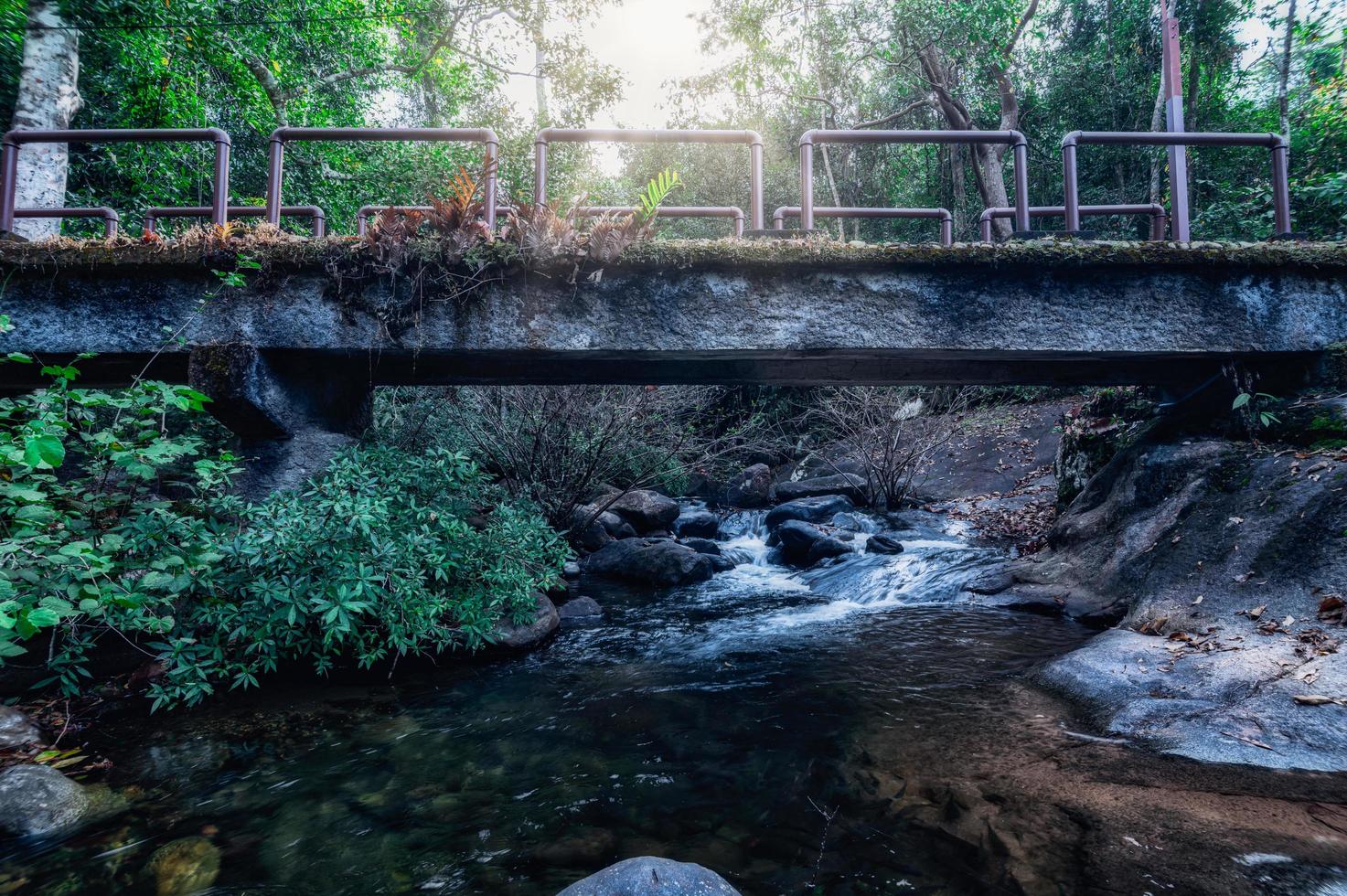 ponte no parque nacional da cachoeira khao chamao foto