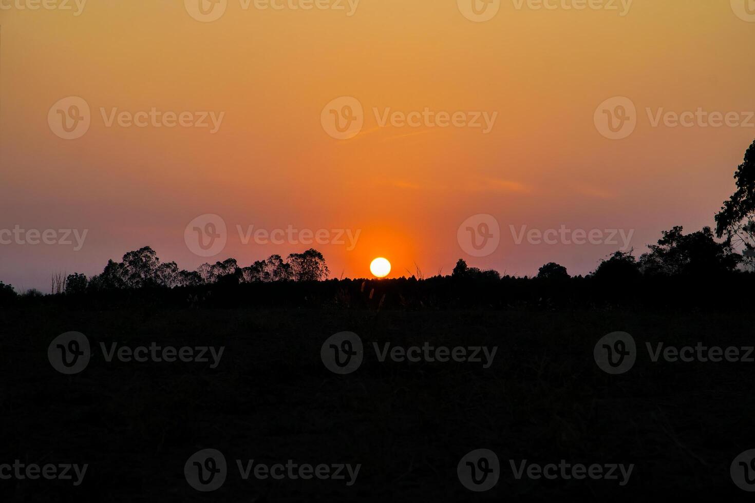 pôr do sol sobre a floresta foto