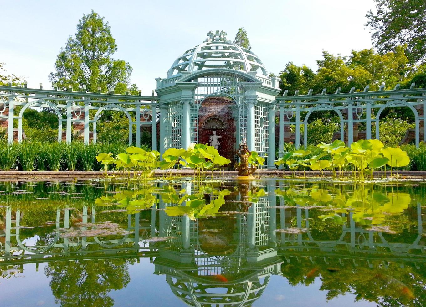 cidade de nova york, ny, 2020 - lago e jardim de carpas foto