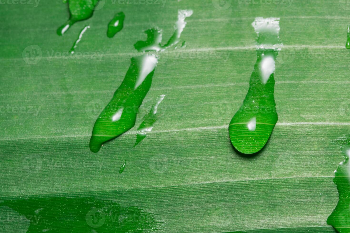 gotas de água em uma folha foto