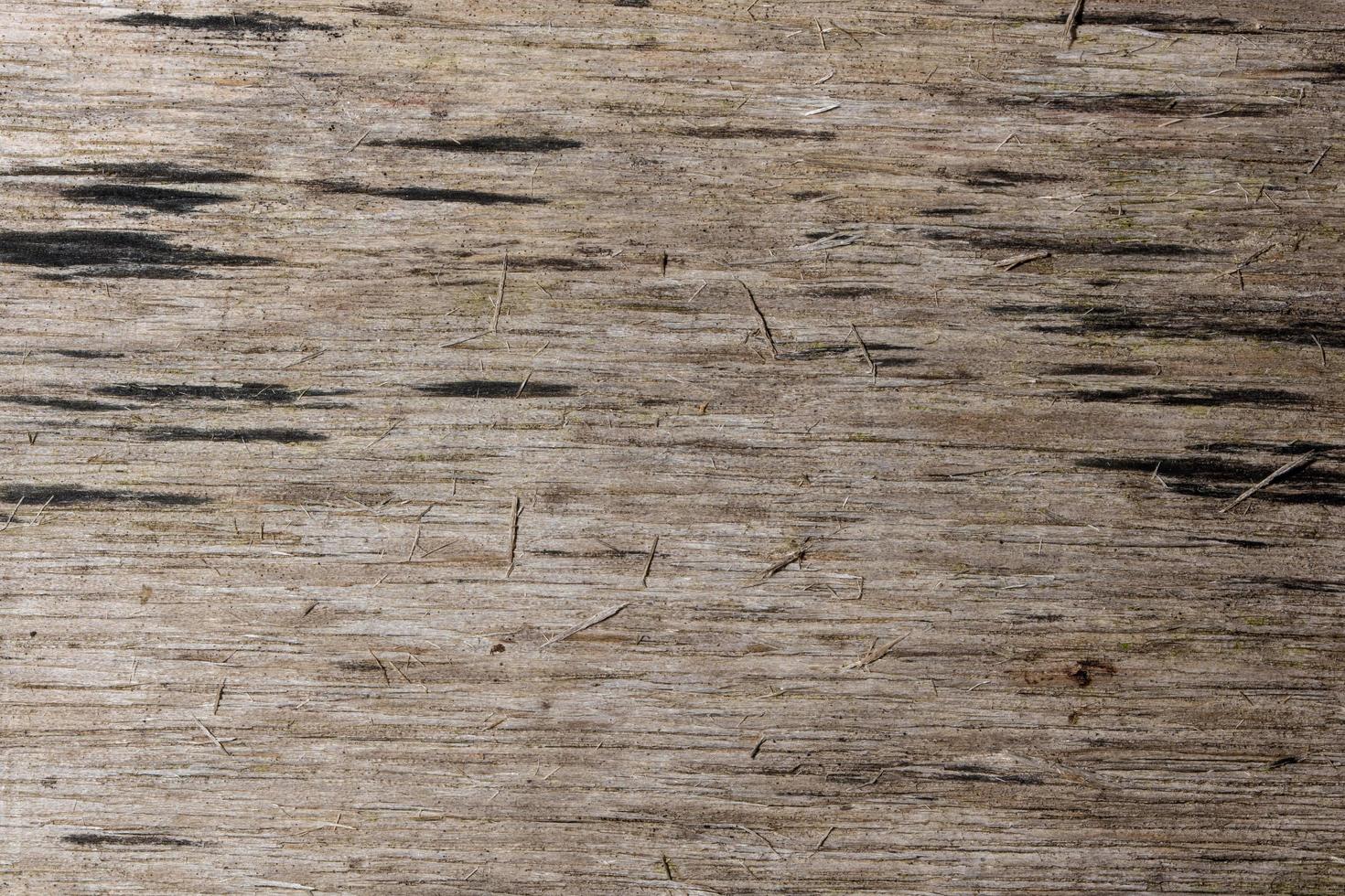 textura de madeira de fundo foto