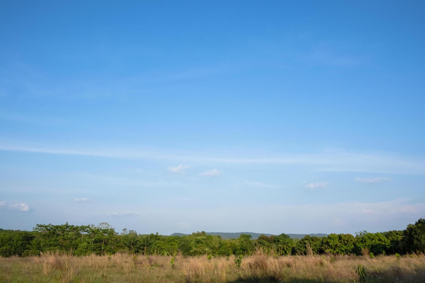 paisagem na Tailândia no campo foto