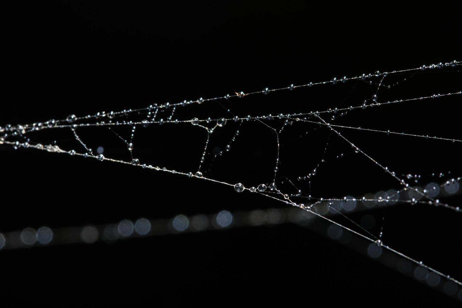 gotas de água na teia de aranha, close-up foto