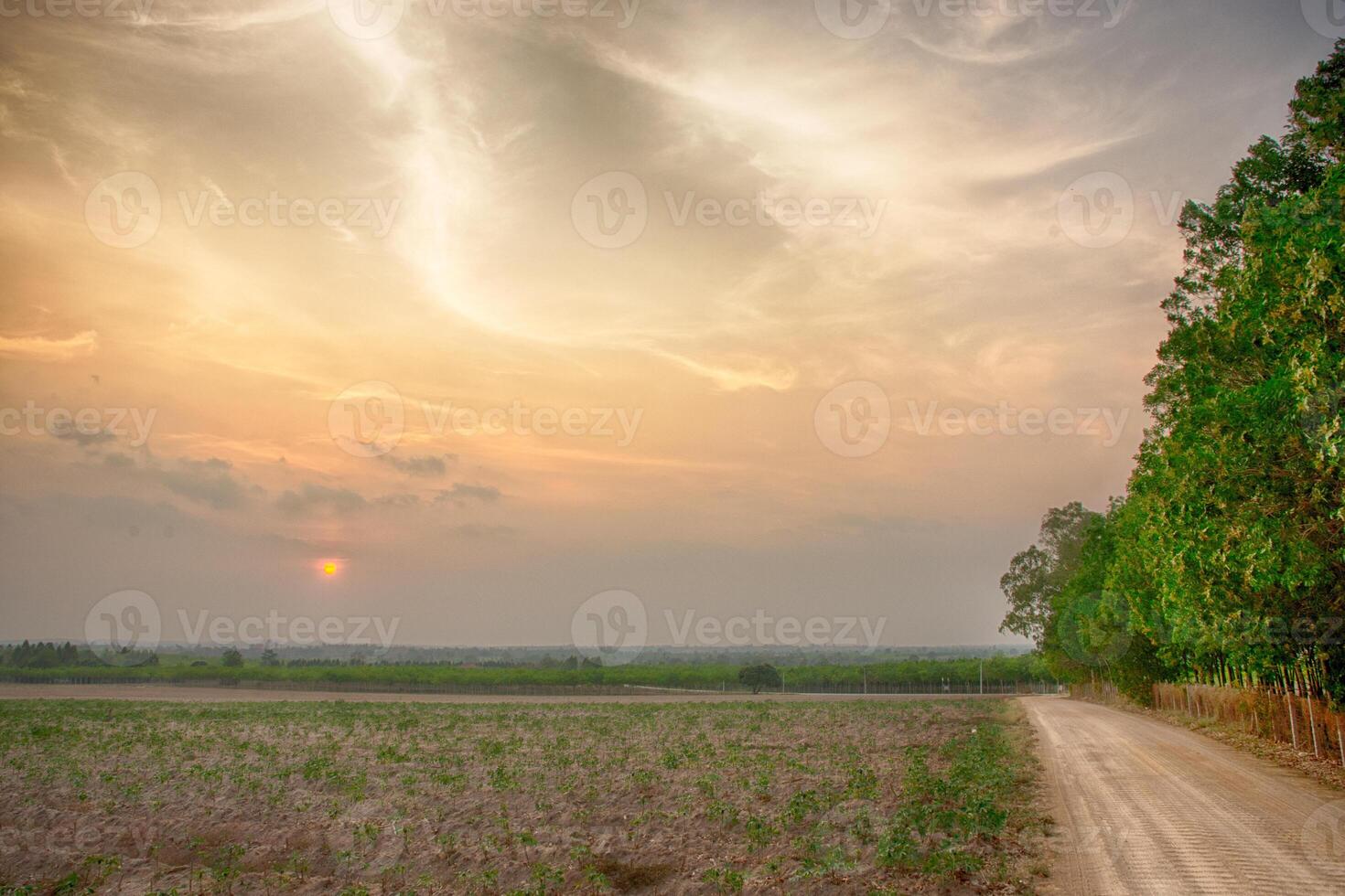 o céu ao pôr do sol foto