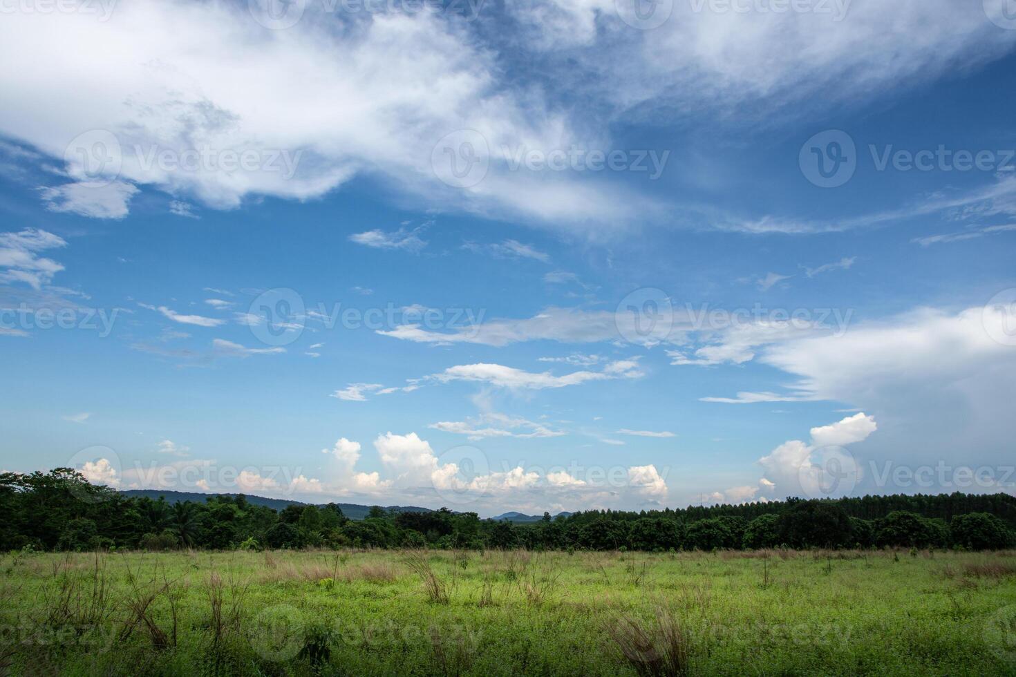 paisagem na tailândia foto