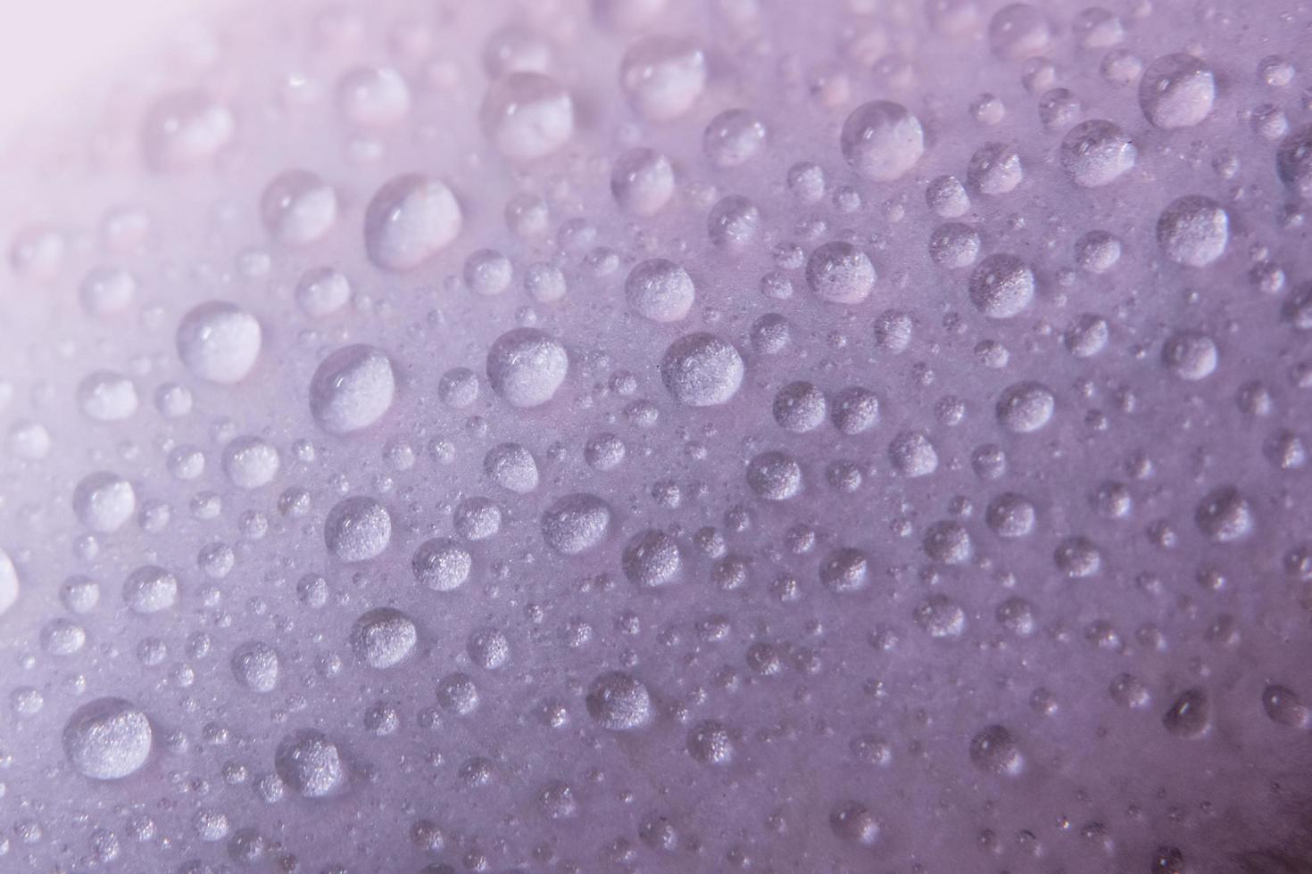 gotas de água close-up foto